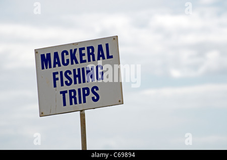 Melden Sie am Strand von Bier, Devon, England Werbung Mackeral (oder genauer gesagt Makrele) Angeltouren Stockfoto