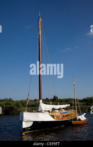 Wherry Trost, Wroxham Broad, Norfolk UK Stockfoto