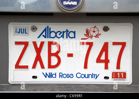Alberta Wild rose Land Fahrzeug Nummernschild Provinz Provinz Kanada Stockfoto