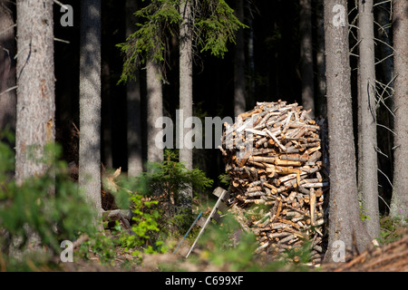 Stapel von verpacktem Brennholz im Taiga-Wald, Finnland Stockfoto