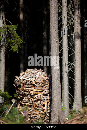 Stapel verpacktes Brennholz im Fichtenwald, Finnland Stockfoto