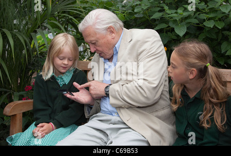 Sir David Attenborough, großer Schmetterling Graf, National History Museum, London Stockfoto