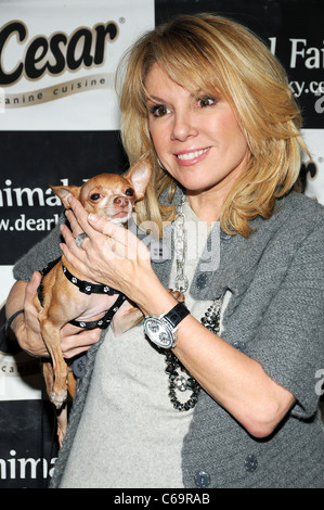 Ramona Singer, Real Housewives of New York City in die Teilnehmerliste für Welpen Liebe Yappy Stunde Humane Society von New York profitieren, Carlton Hotel, New York, NY 11. Februar 2011. Foto von: Desiree Navarro/Everett Collection Stockfoto