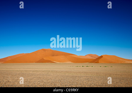 Dünen in der Wüste Landschaft der Namib am Sossusvlei, Namib-Naukluft-Nationalpark, Namibia, Afrika Stockfoto