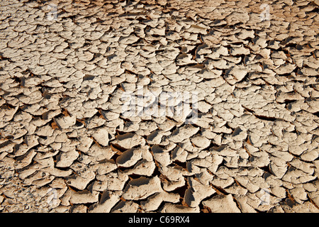 ausgetrocknete geplatzt Boden in der Wüste Namib am Sossusvlei, Namib-Naukluft-Nationalpark, Namibia, Afrika Stockfoto