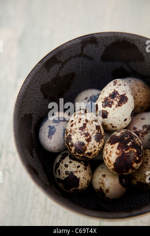 Wachtel-Eiern in eine Schüssel geben Stockfoto