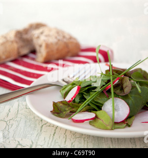 Brot-Salat mit Mangold und Rettich und Handwerker Stockfoto