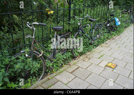 Überwucherten Fahrräder in Amsterdam Oud-Zuid neben Vondelpark Stockfoto