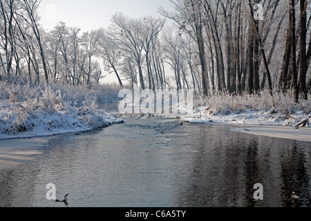 Kleine Donau Fluß im Winter - West-Slowakei Stockfoto