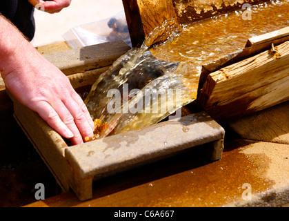 Grand Canyon Höhlen. Faszinierender Ort! Gegründet von 2 Brüdern, lange Rede, lohnt ein Blick auf. Einige erstaunliche findet! Stockfoto