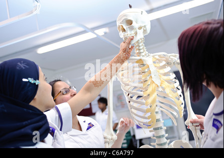 weiblichen Mischlinge Universität Krankenpflege Lernschwestern mit Dummy-menschliche anatomische Modell Skelett Stockfoto
