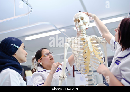 weiblichen Mischlinge Universität Krankenpflege Lernschwestern mit Dummy-menschliche anatomische Modell Skelett Stockfoto