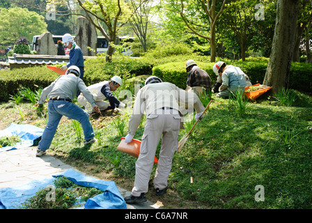 Japanische Arbeit Team: Gärtner bei der Arbeit in Japan. Gruppe von Menschen zusammen arbeiten; Männer; Arbeitnehmer demonstriert Teamarbeit. Stockfoto