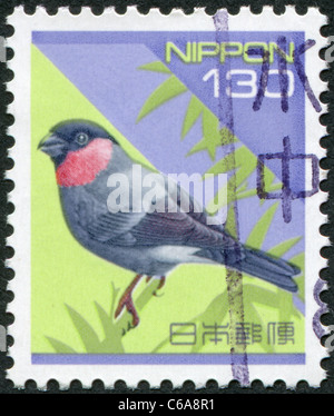 JAPAN - 1994: Eine Briefmarke gedruckt in Japan zeigt eurasischen Gimpel (Pyrrhula Pyrrhula) Stockfoto