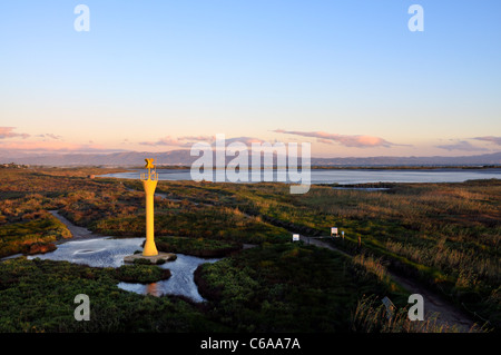 Elektrisches Leuchtfeuer. Ebro-Delta, in der Nähe der Küste des Meeres. Provinz Tarragona. Spanien Stockfoto