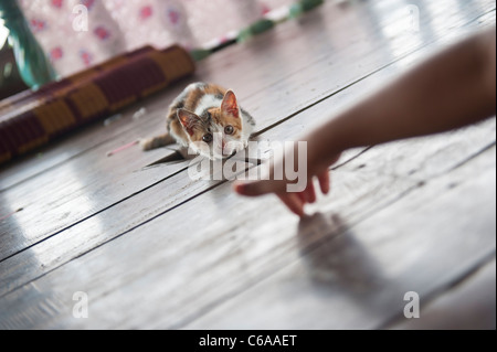 Eine Kätzchen spielt mit ein Waisenkind bei Karen Flüchtling Waisenhaus oder Nonne Schule Sangkhlaburi Thailand Stockfoto