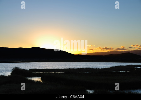 Sonnenuntergang. L'Encanyissada Lagune. Ebro-Delta. Provinz Tarragona. Spanien Stockfoto