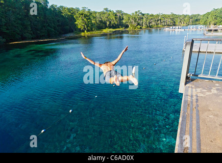 Junger Mann taucht in Wakulla Frühling von hohen Plattform Stockfoto