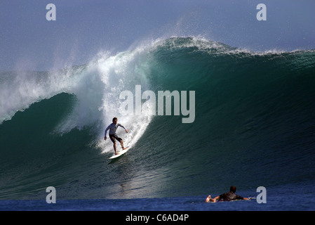 Surfer reiten große Welle an G-Land. Ach Purwo Nationalpark, Ost-Java, Java, Indonesien, Süd-Ost-Asien, Asien Stockfoto