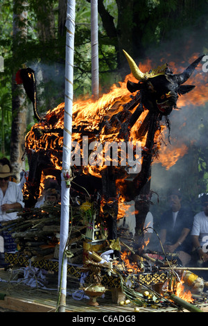 Brennen von Bull und Sarg in Feuerbestattung Zeremonie. Ubud, Bali, Bali, Indonesien, Südostasien, Asien Stockfoto