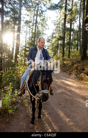 Präsident Felipe Calderon auf dem Pferderücken im Monarch Butterfly bewahren, in Michoacan, Mexiko Stockfoto