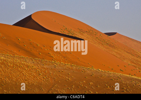 Konturen der Düne 45, Namib-Naukluft Park, Namibia Stockfoto