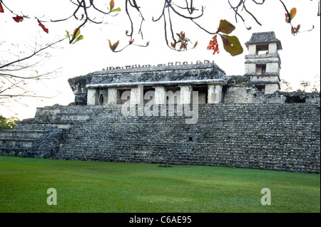 Maya-Ruinen von Palenque, Mexiko Stockfoto