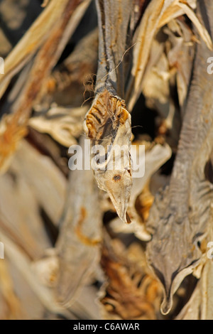 Getrockneter Fisch, Arunachal Pradesh, Indien Stockfoto