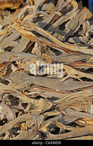 Getrockneter Fisch, Arunachal Pradesh, Indien Stockfoto