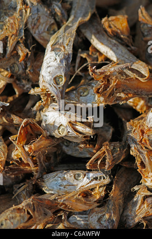 Getrockneter Fisch, Arunachal Pradesh, Indien Stockfoto