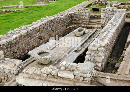 Latrinen in Vercovicium Roman Fort, Housesteads, Hadrianswall, Northumberland, England, Vereinigtes Königreich Stockfoto