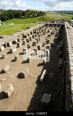Der Getreidespeicher im römischen Kastells Housesteads, Hadrianswall, Northumberland, England, UK Stockfoto