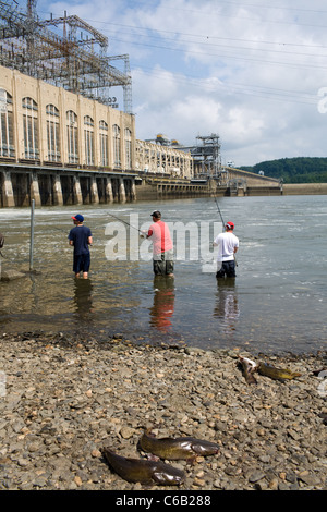 Männer unter Exelon Corp Conowingo hydroelektrische Generating Station am Susquehanna River Angeln. Stockfoto