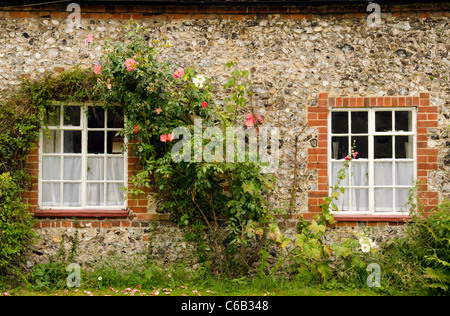 Zwei Metall-Fenster und eine Kletterrose auf einem traditionellen aus rotem Backstein und Feuerstein errichtet Gebäude in Turville Dorf Buckinghamshire Stockfoto