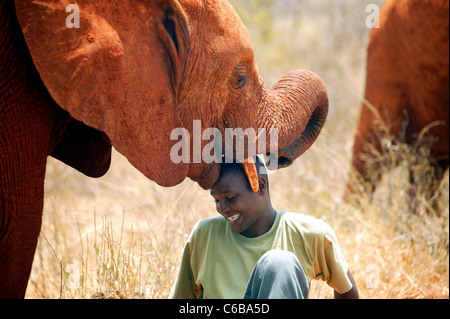 EINE WILDE WAISE GRÜßT LIEBEVOLL JOSEPH SAUNI SHELDRICK-STIFTUNG. Stockfoto