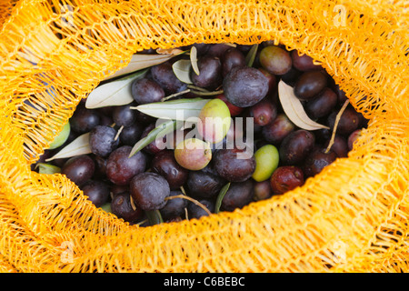 Schwarze Olive in gelben Tasche Stockfoto