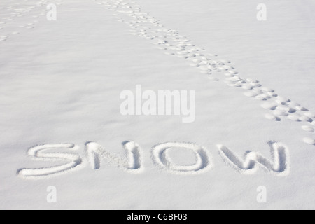 Das Wort "Schnee" eingeprägt in einem frisch verschneiten Feld neben Fußabdrücke unter hellem Sonnenlicht Stockfoto