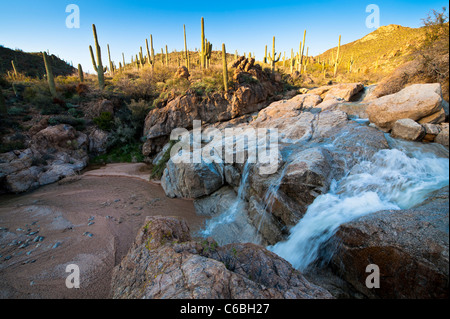 Frühlingsregen schaffen einen schönen Fluss in Cottonwood Creek in Hewitt Canyon, AZ. Stockfoto