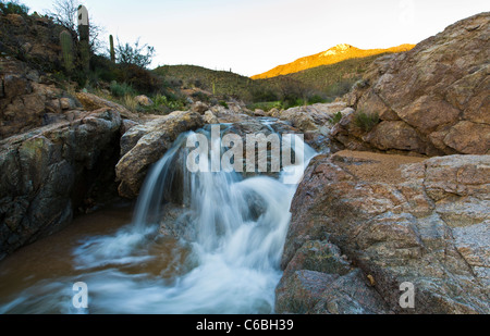 Frühlingsregen schaffen einen schönen Fluss in Cottonwood Creek in Hewitt Canyon, AZ. Stockfoto