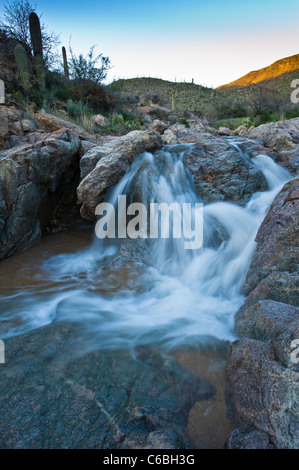 Frühlingsregen schaffen einen schönen Fluss in Cottonwood Creek in Hewitt Canyon, AZ. Stockfoto