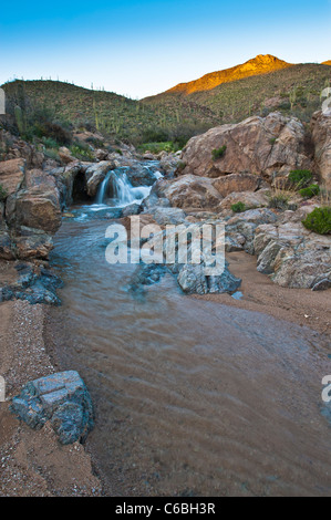 Frühlingsregen schaffen einen schönen Fluss in Cottonwood Creek in Hewitt Canyon, AZ. Stockfoto