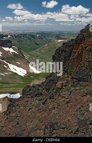 Flechten Sie bedeckten Basalt mit Blick auf diese spektakulären Blick von kleinen Blitzen Schlucht auf SE Oregon Steens Mountain Wilderness Area. Stockfoto