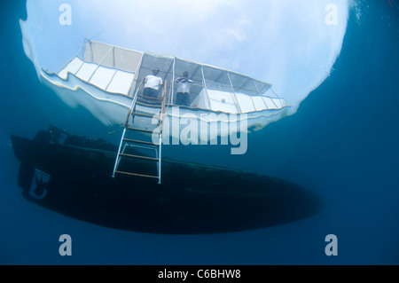 Personal auf Tauchgang Boot warten Taucher an die Oberfläche, von unten, Krümmung, Nord Male Atoll, Malediven Stockfoto