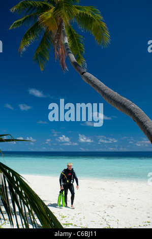 Scuba Diver stehen am Strand, Kokospalme im Vordergrund, Nord-Huvadhoo-Atoll, Malediven Stockfoto