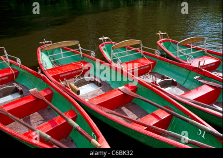 Ruderboote zu mieten auf dem Fluß Nidd in Knaresborough, North Yorkshire Stockfoto