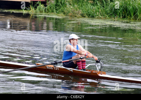 Rudern am Fluss Avon bei Warwick Regatta, Warwickshire, UK Stockfoto