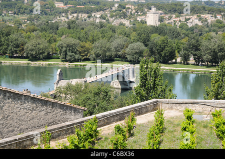 Pont Saint-Bénezet genannt auch Pont d ' Avignon über Rhône in Avignon, Departement Vaucluse, Provence Region in Frankreich Stockfoto