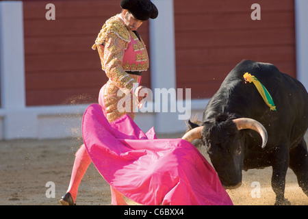 Corrida de Toros. Foto Tomada de la Plaza de Toros de Gijón. Feria Nuestra Señora de Begoña Stockfoto