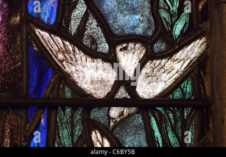 Weiße Taube Glasmalerei Detail, St. James die Grote Kerk, Birstall, Leicestershire, England, UK Stockfoto