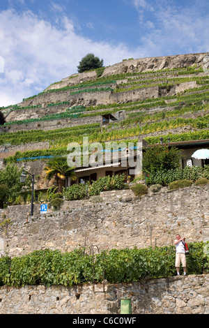 Hügel von St.Saphorin der Route Suisse in der Schweiz Stockfoto